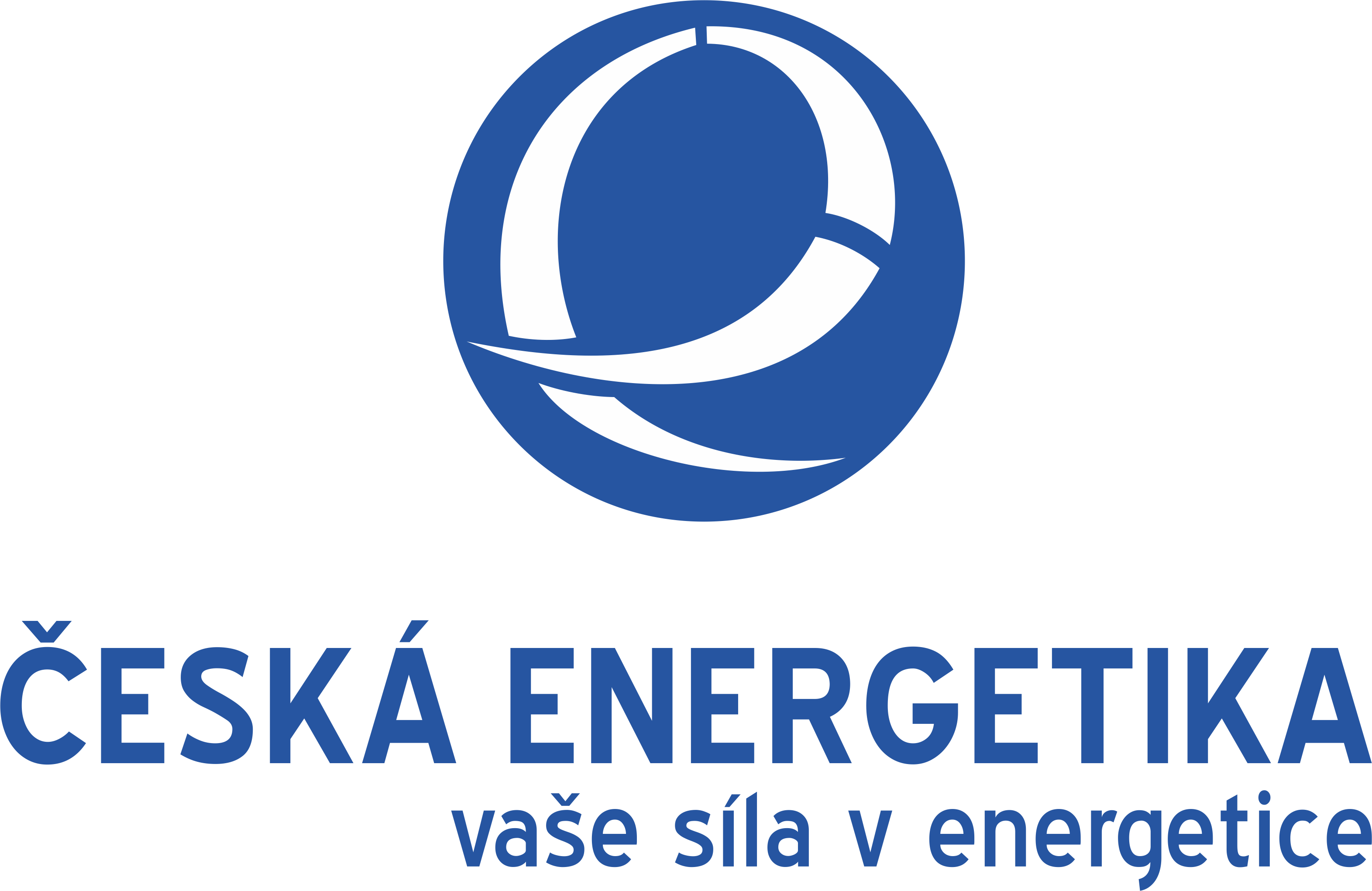 Česká energetická asociace